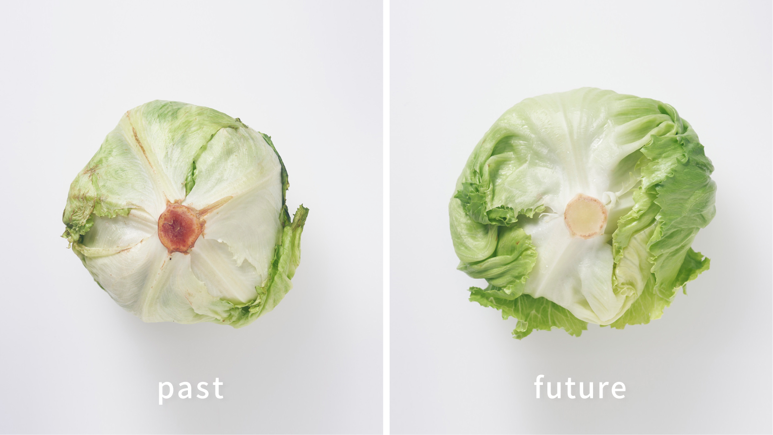 Water Stability System サムネイル